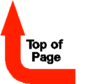 Top of Page